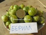  Берилл 
